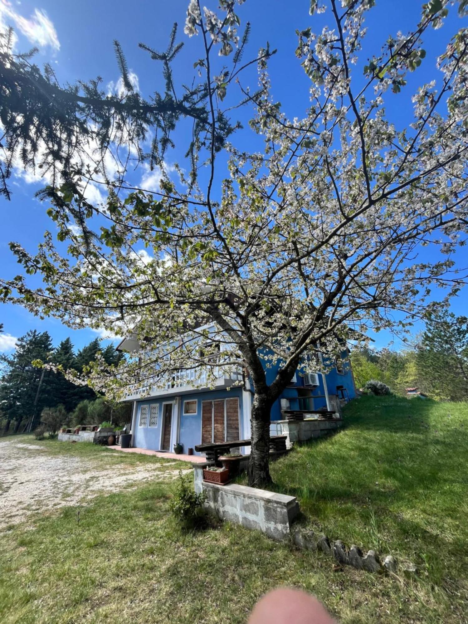 Chalet Ricciano 福利尼奥 外观 照片